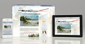 mobile-website mobile-website-300x156